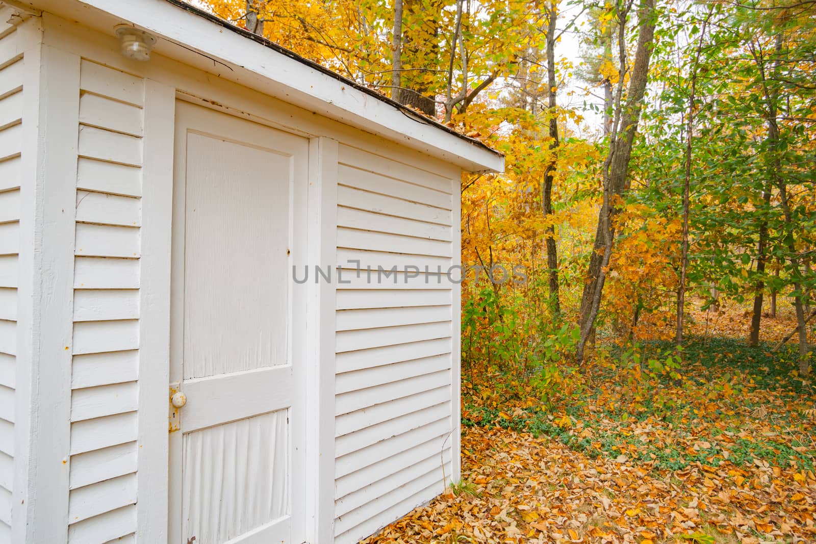 Lines of boards of white wooden building leading to forest of trees in autumn colors and surrounded by leaf drop.