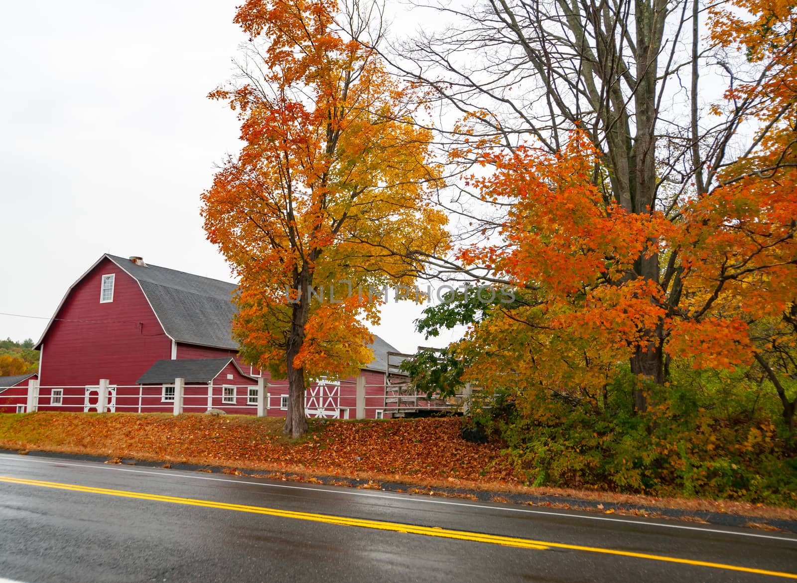 Traditional American style red barn from passing highway in fall with bright foliage in rural USA
