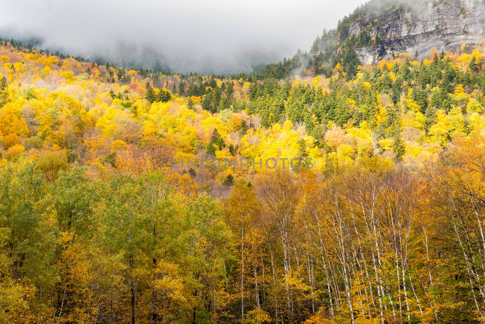 Clouds roll into valley of brilliant fall colored forest bewteen by brians101