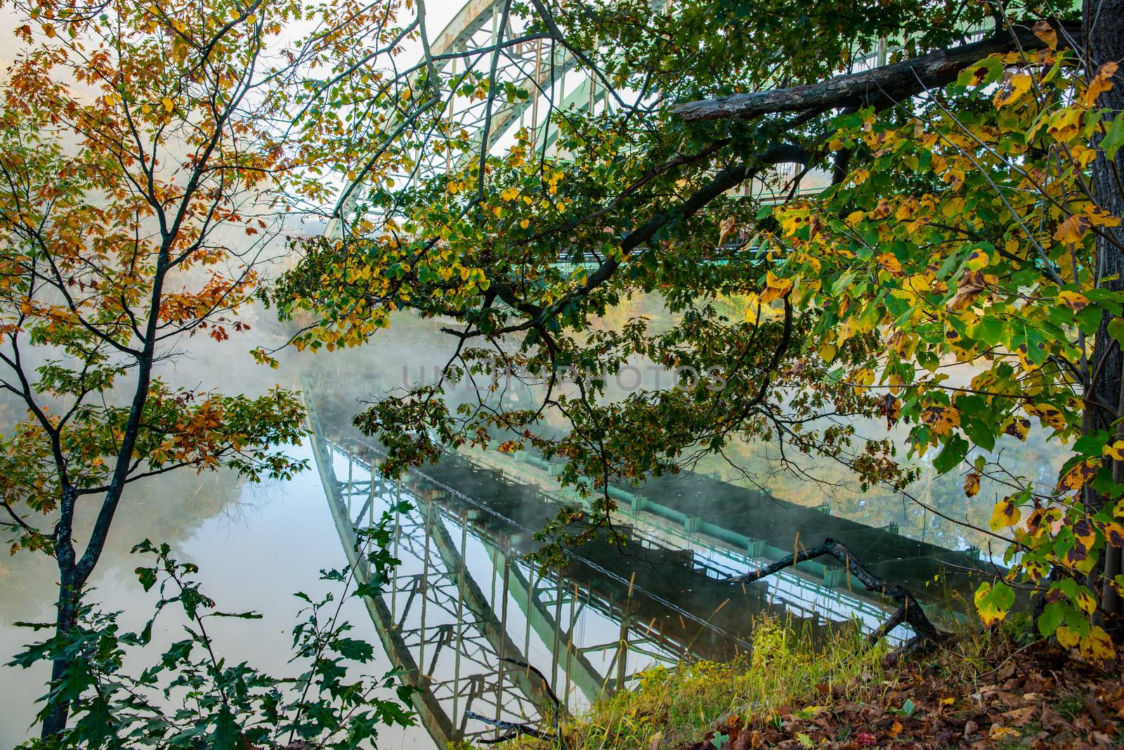 Route 9 Bridge over and reflected through trees and early mornin by brians101