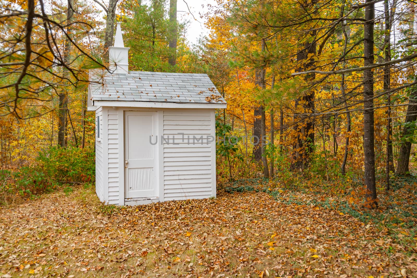 Small white wooden building standing among trees in autumn colors and surrounded by leaf drop in golden hues.