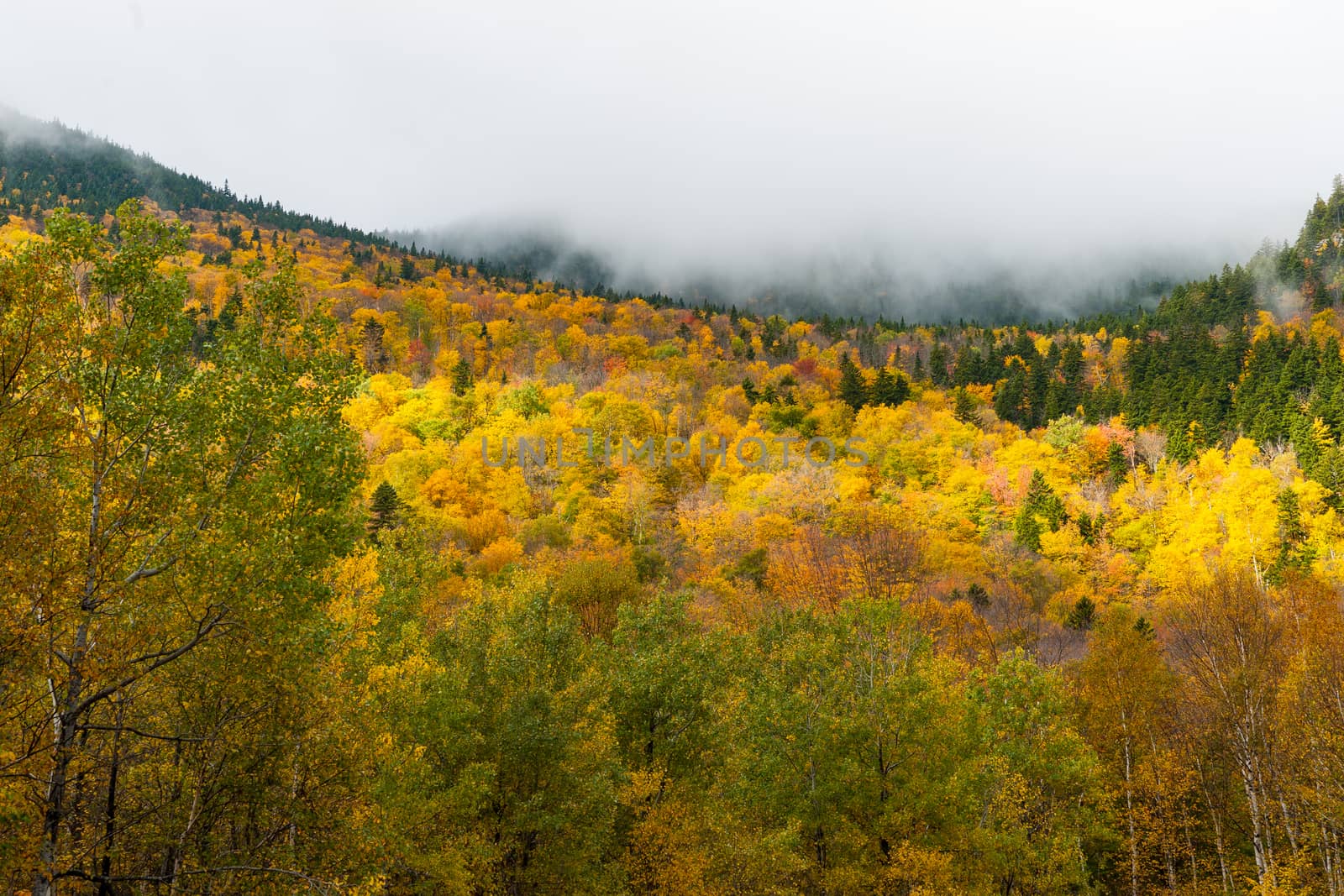 Clouds roll into valley of brilliant fall colored forest bewteen by brians101