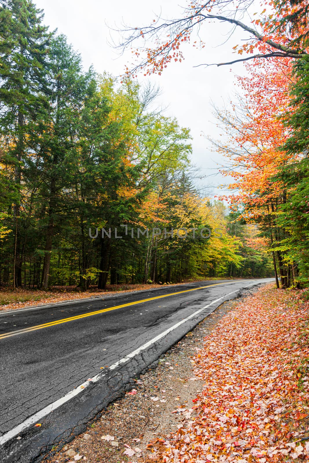 Highway through New Hampshire forest in autumn colors on wet mis by brians101