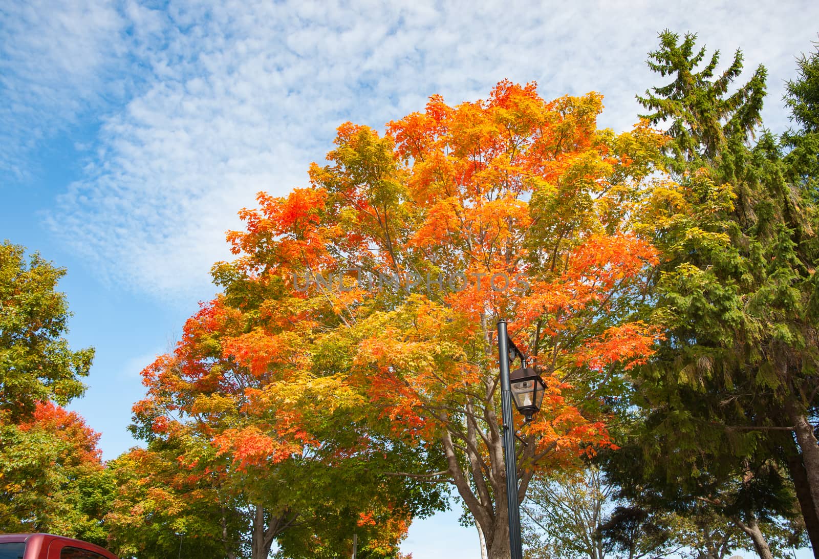 brilliant autumn foliage colors of New England fall