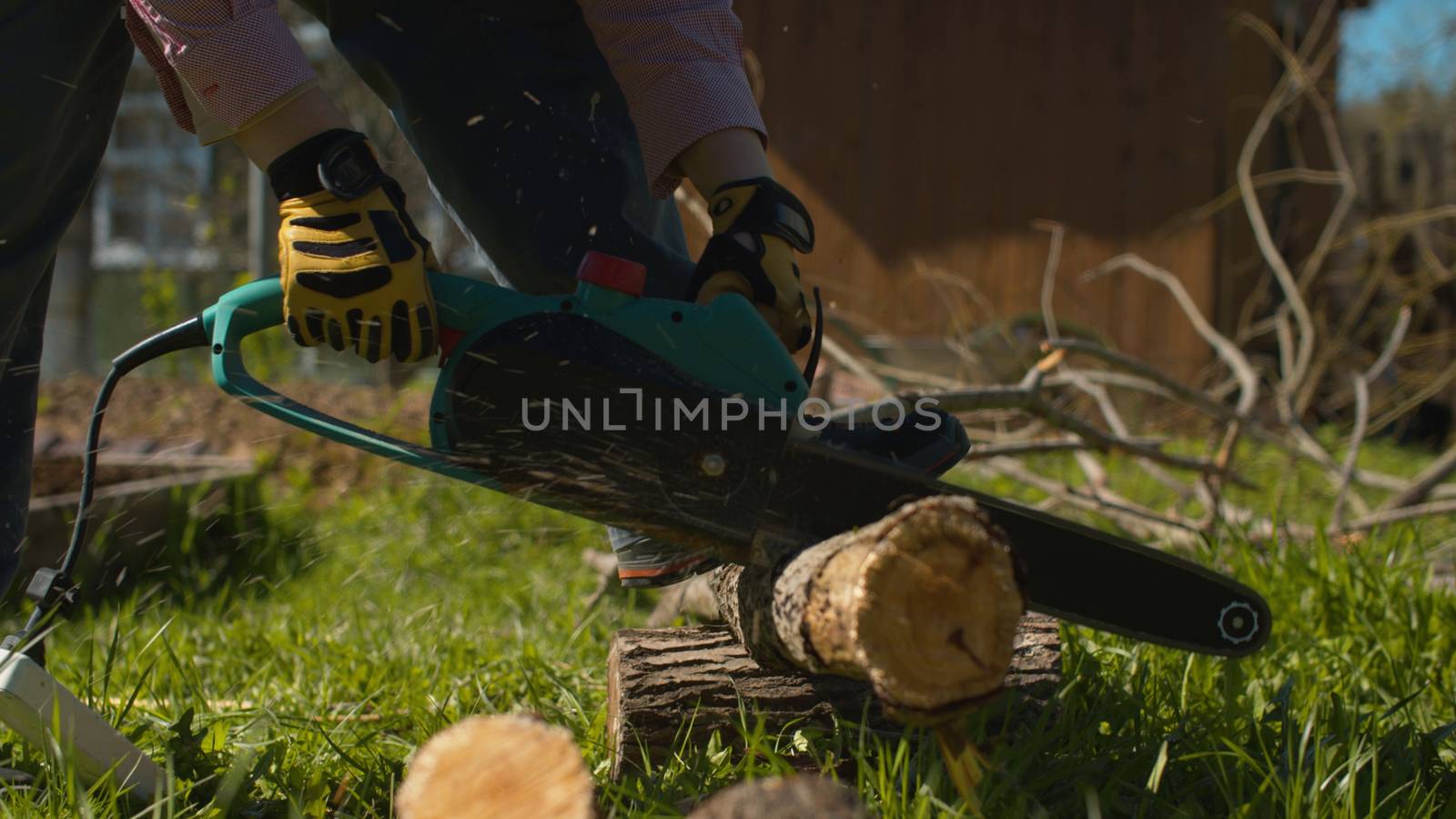 Hands of a woman cutting tree on the yard by Alize