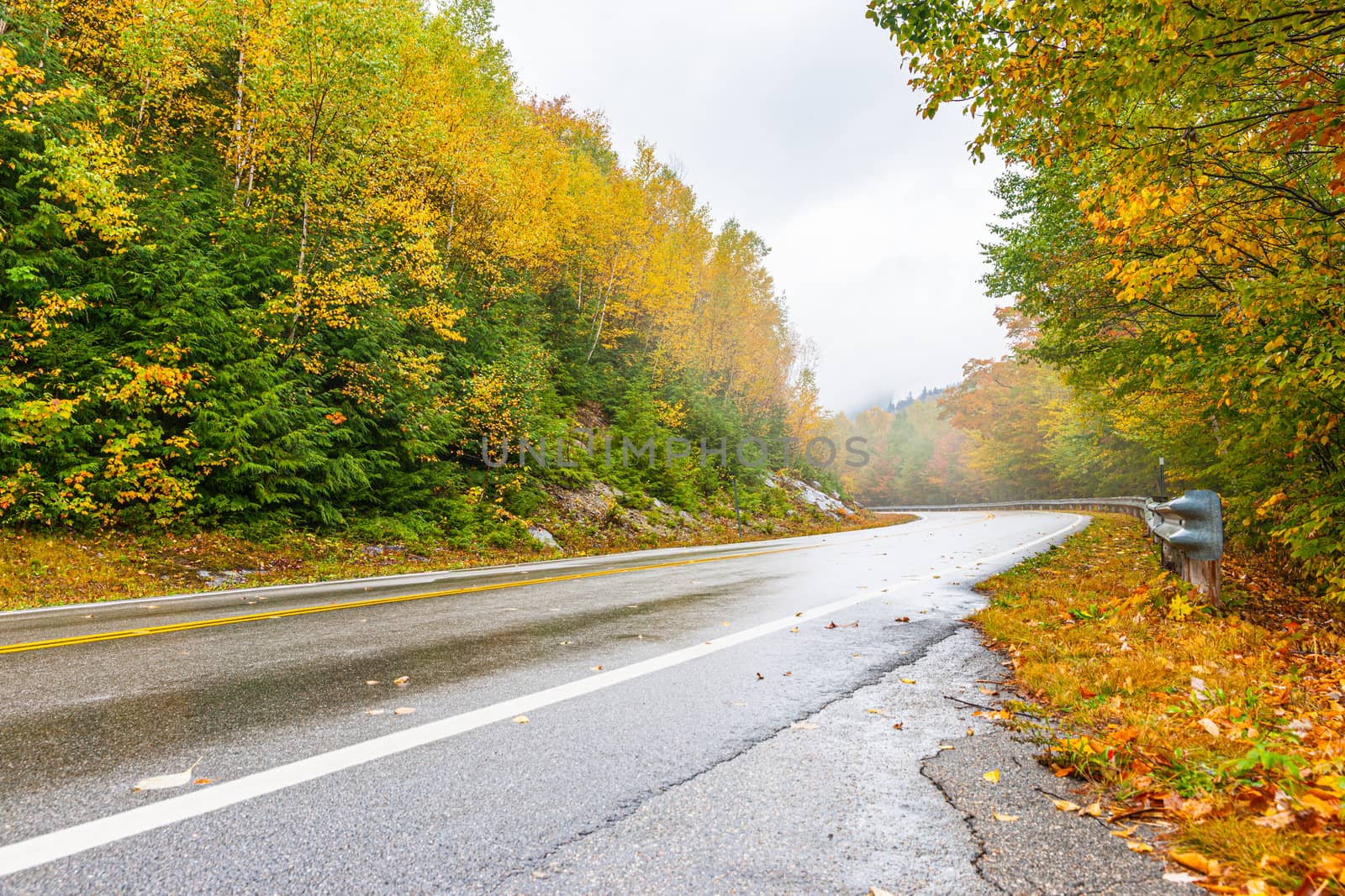 Highway through New England forest in autumn colors on wet misty by brians101