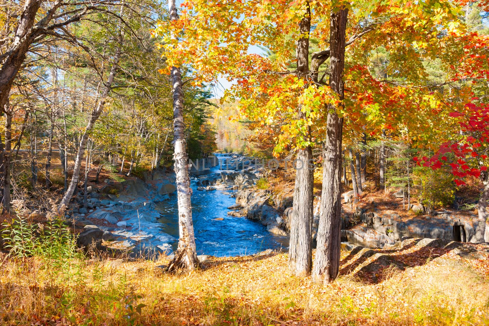 Coos Rapids and stream flow through autumnal colored forest, Mai by brians101