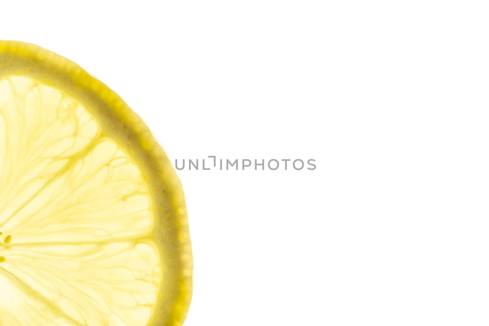 Lemon slice close-up backlit on white background