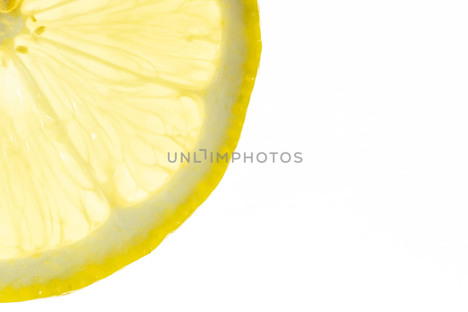 Lemon slice close-up backlit on white background