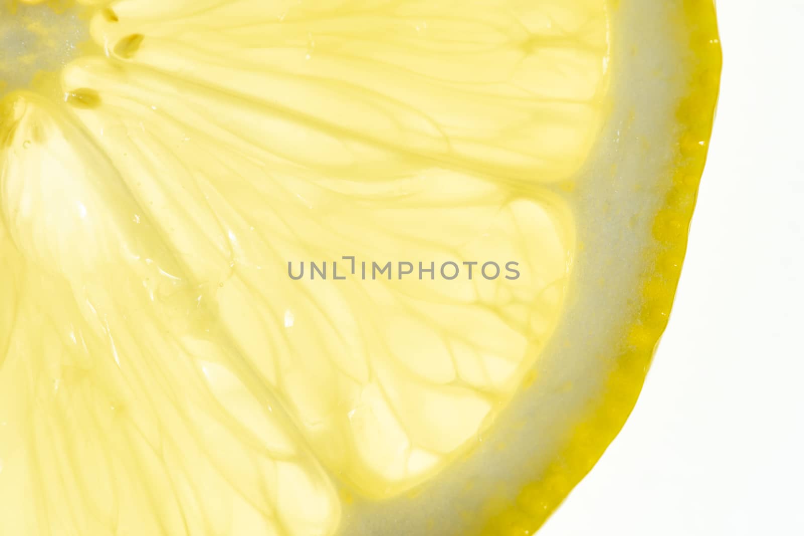 Lemon slice close-up backlit on white background