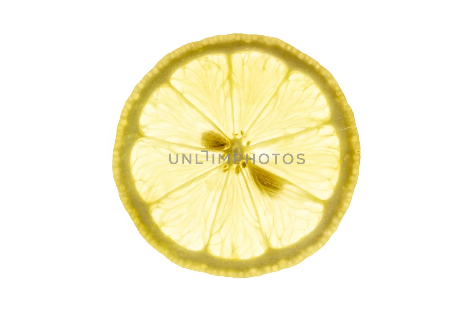 Lemon slice close-up backlit on white background