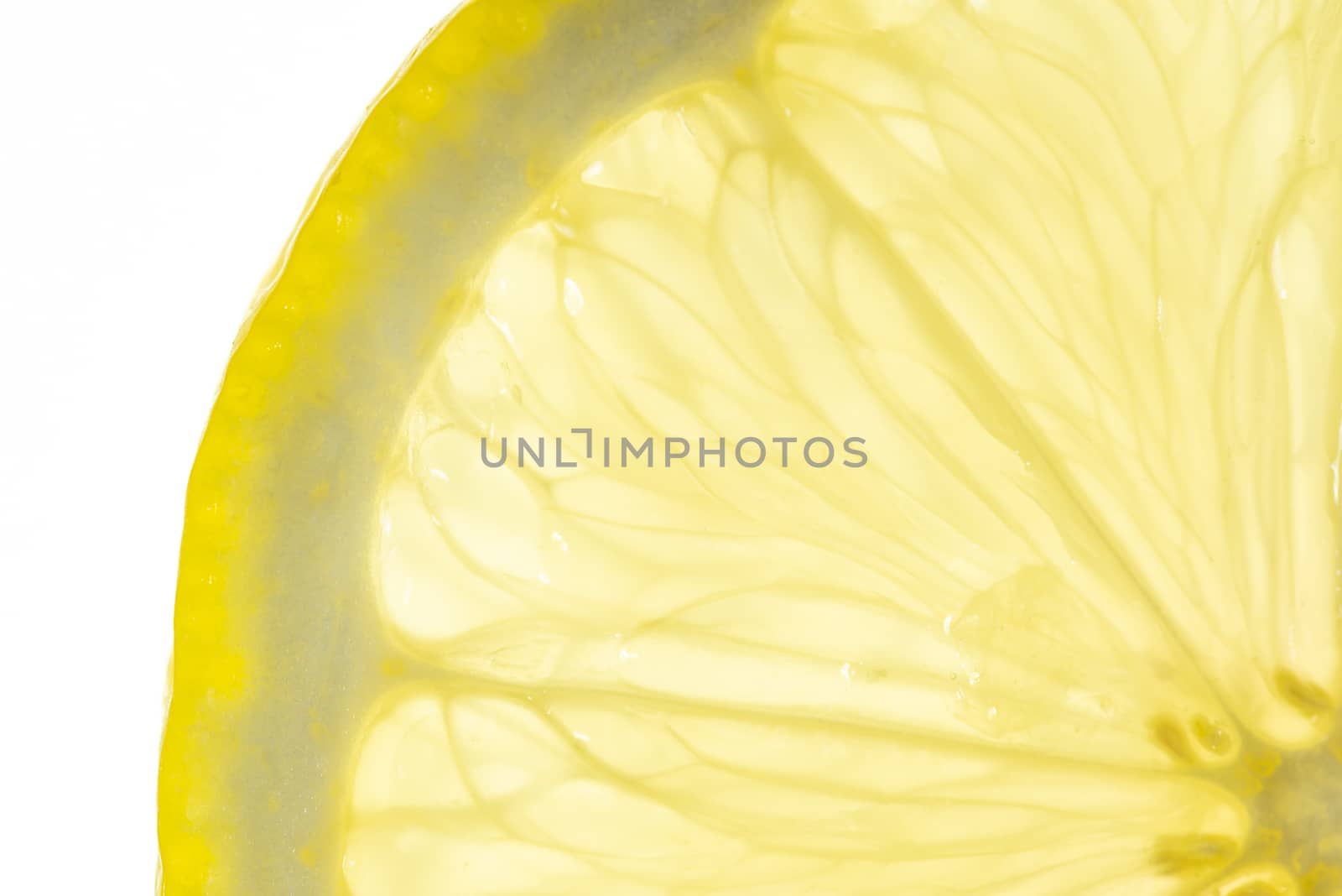 Lemon slice close-up backlit on white background