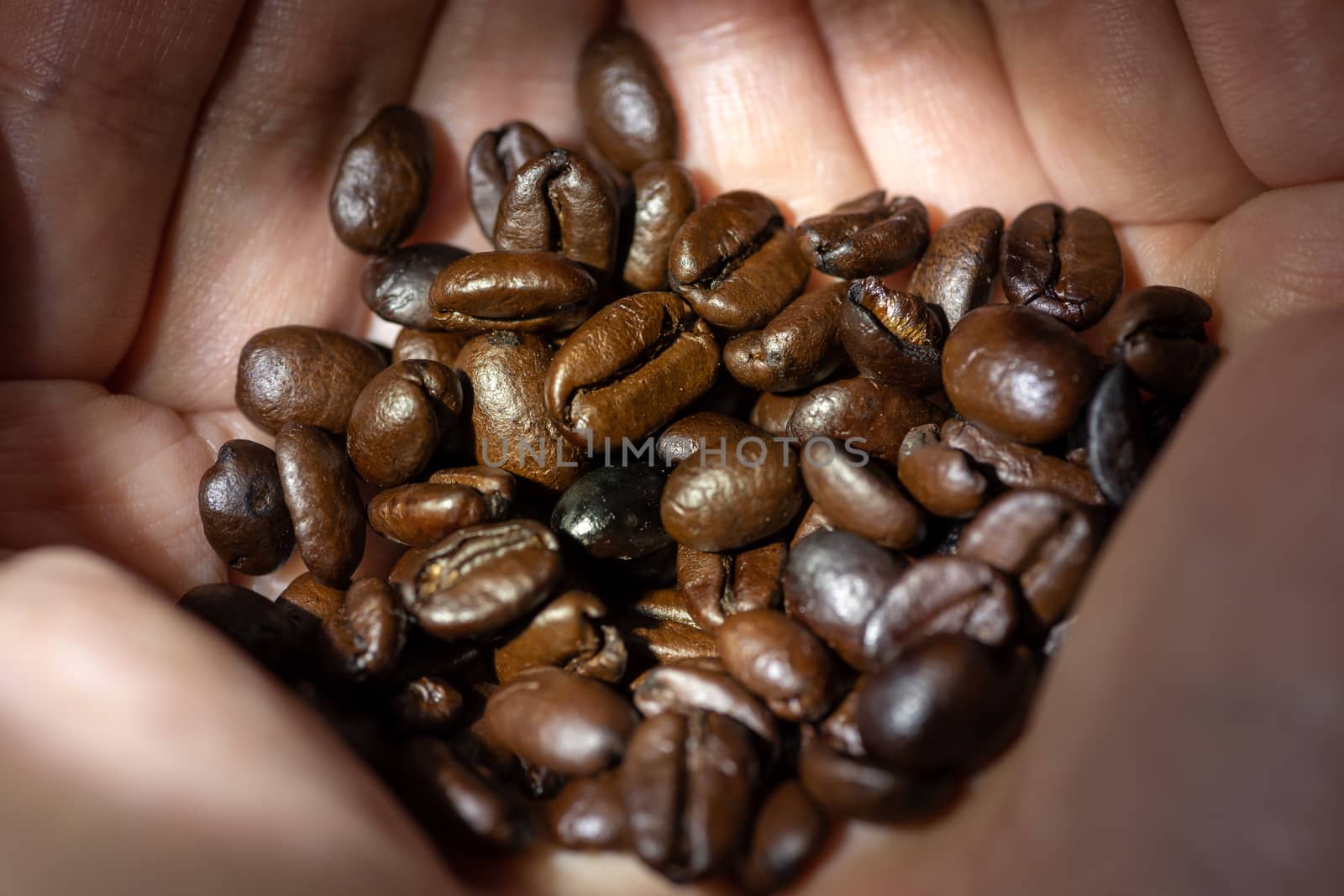 Heap of roasted coffee beans close-up view in hands