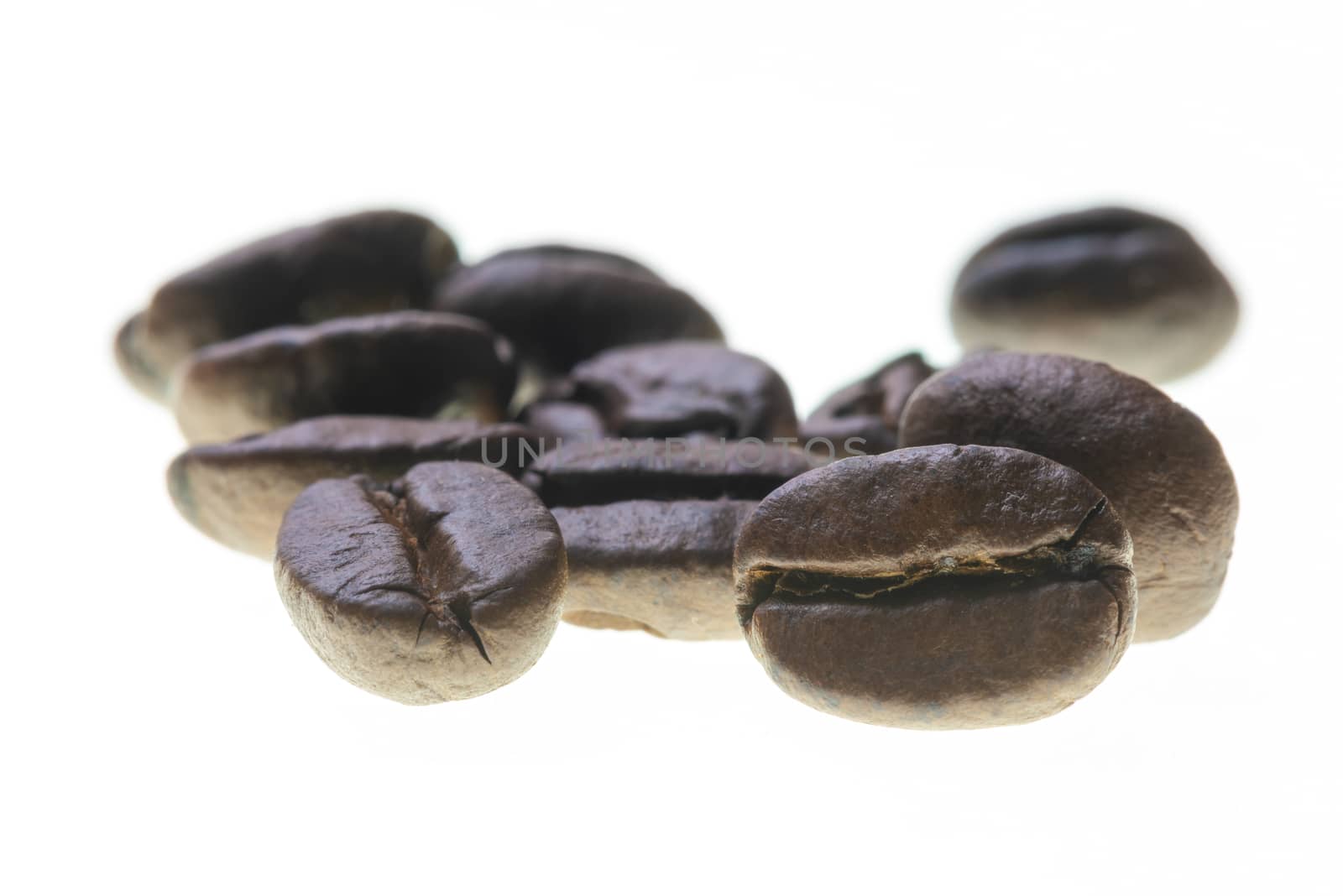 Roasted coffee beans backlit isolated on white close-up view