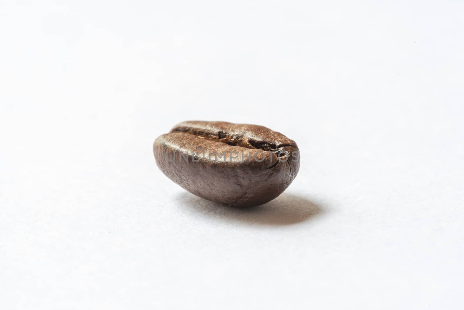 Roasted coffee bean isolated on white close-up view