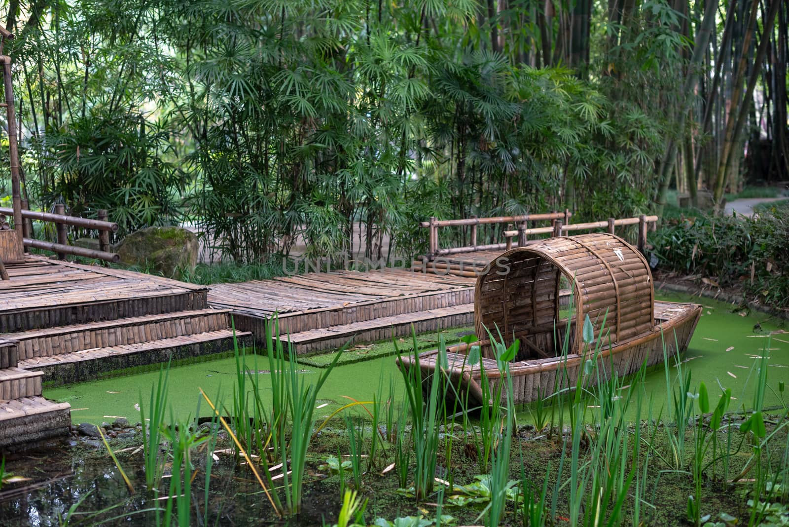 Abandoned chinese bamboo boat in green water, Chengdu, Sichuan province, China