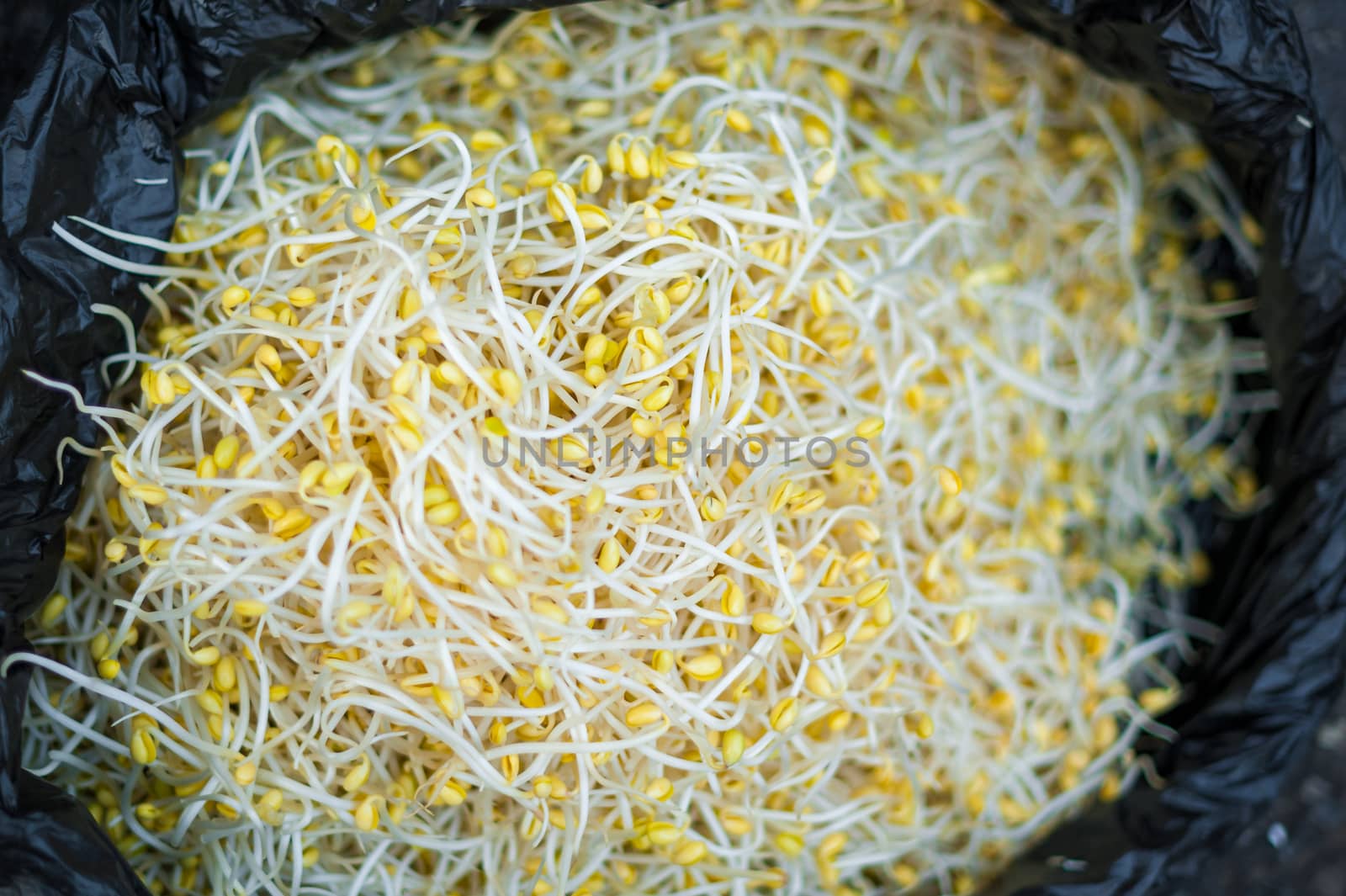 Bag full of soy close-up in a chinese market