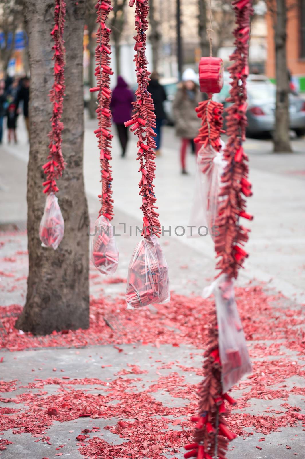 Red fire crackers stripes hanging on trees for the chinese new year