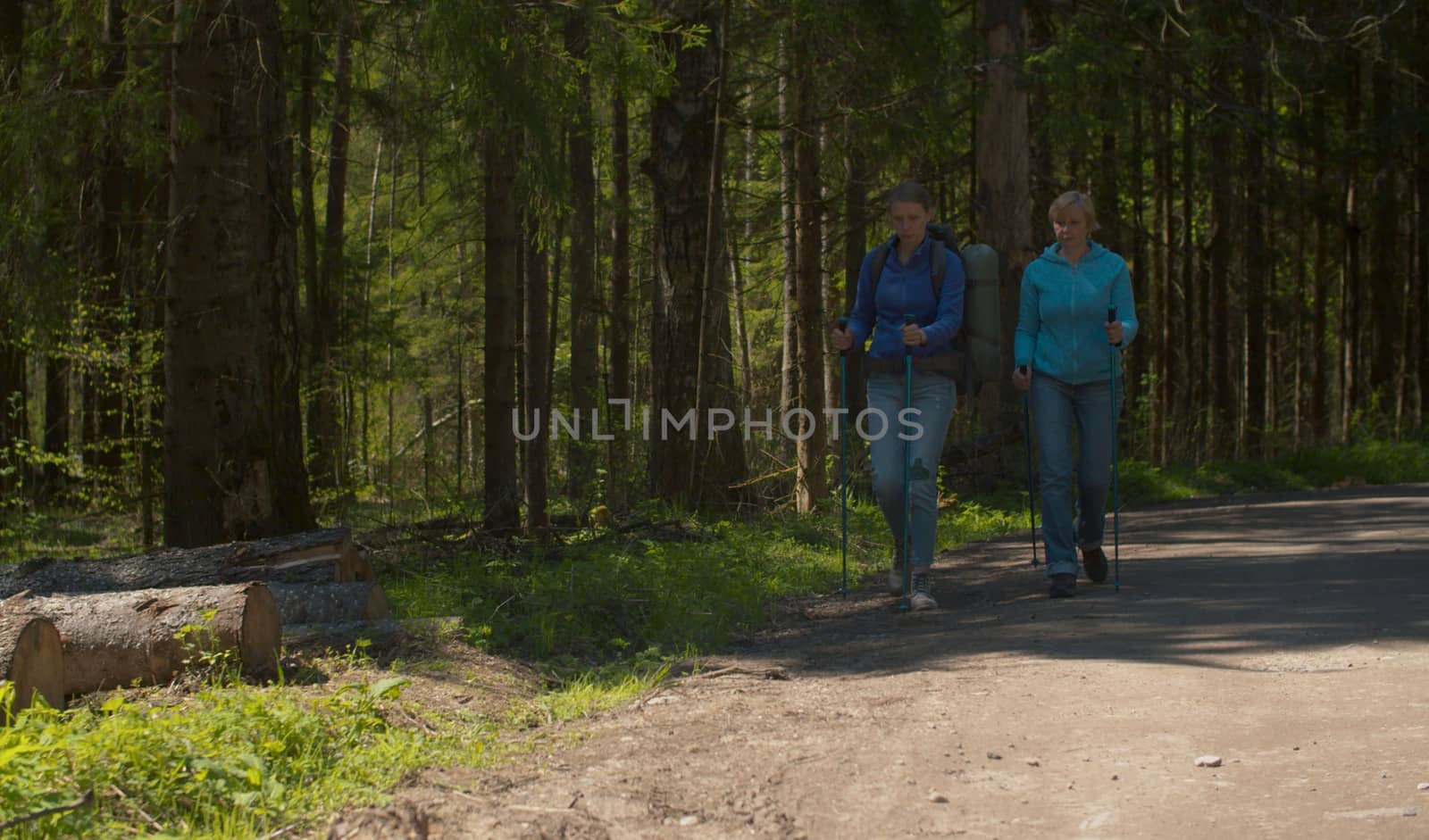 Two women on the stroll in the forest. They walking by dirt road, then stop to rest on sawn trees. Trekking in the forest, active and healthy lifestyle concept