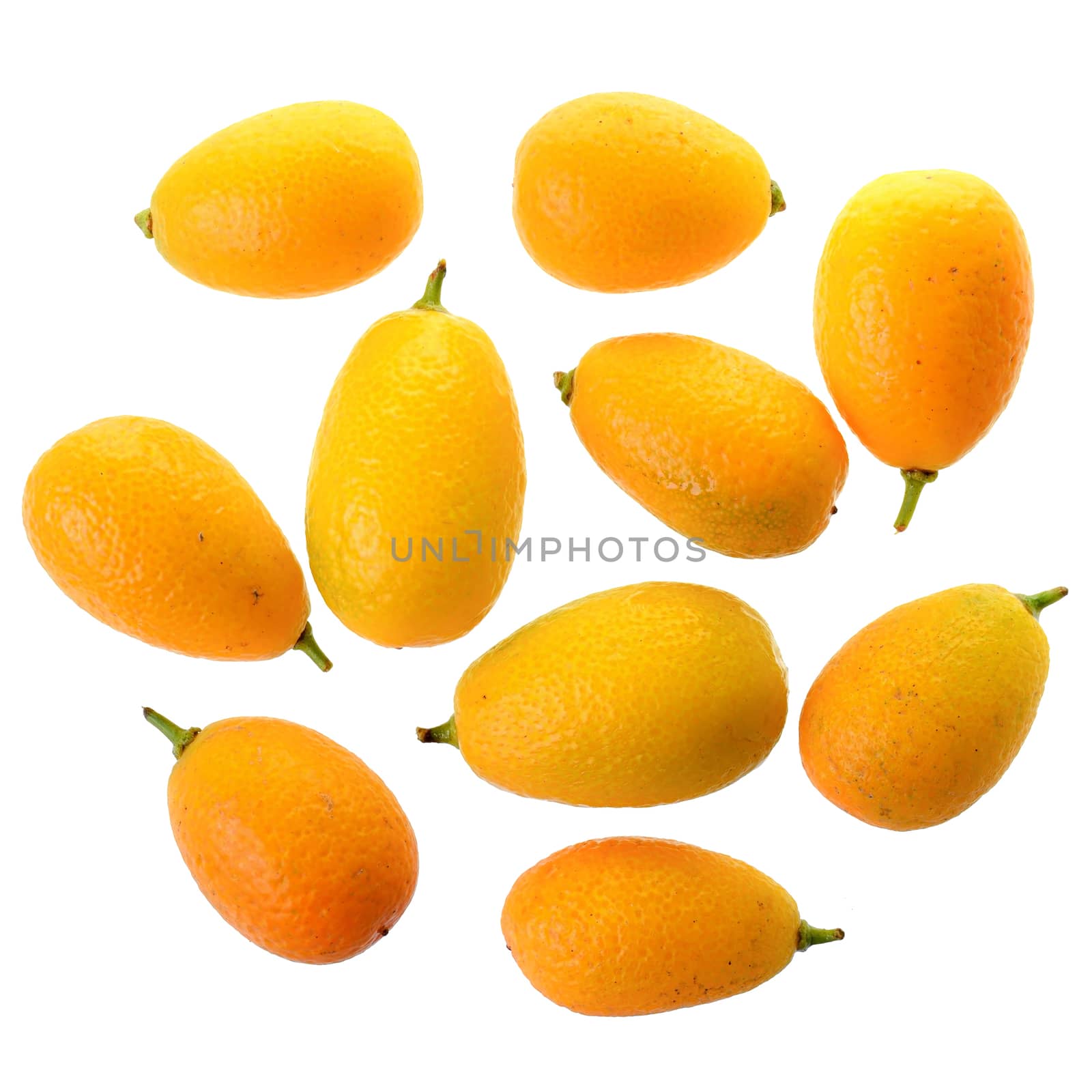 Group of fresh kumquat close up top view isolated on white background.