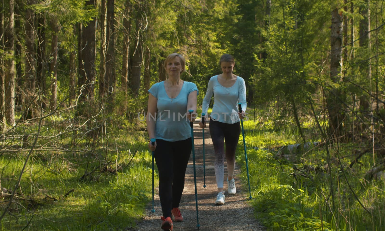Women with trekking poles walking in the forest by the dirt road. Exercising in nordic walking, active and healthy lifestyle concept