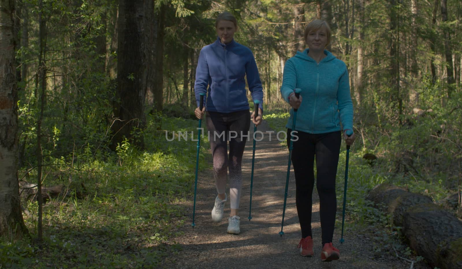 Nordic walking in spring forest. Women with trekking poles hiking by the dirt road. Active and healthy lifestyle concept