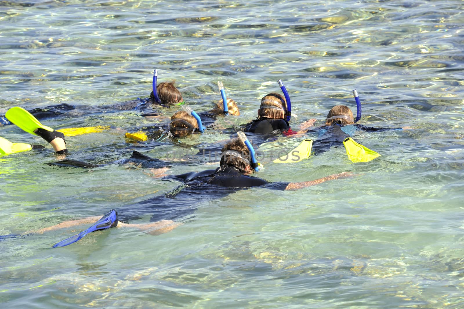 Family snorkeling in a tropical lagoon by paulvinten