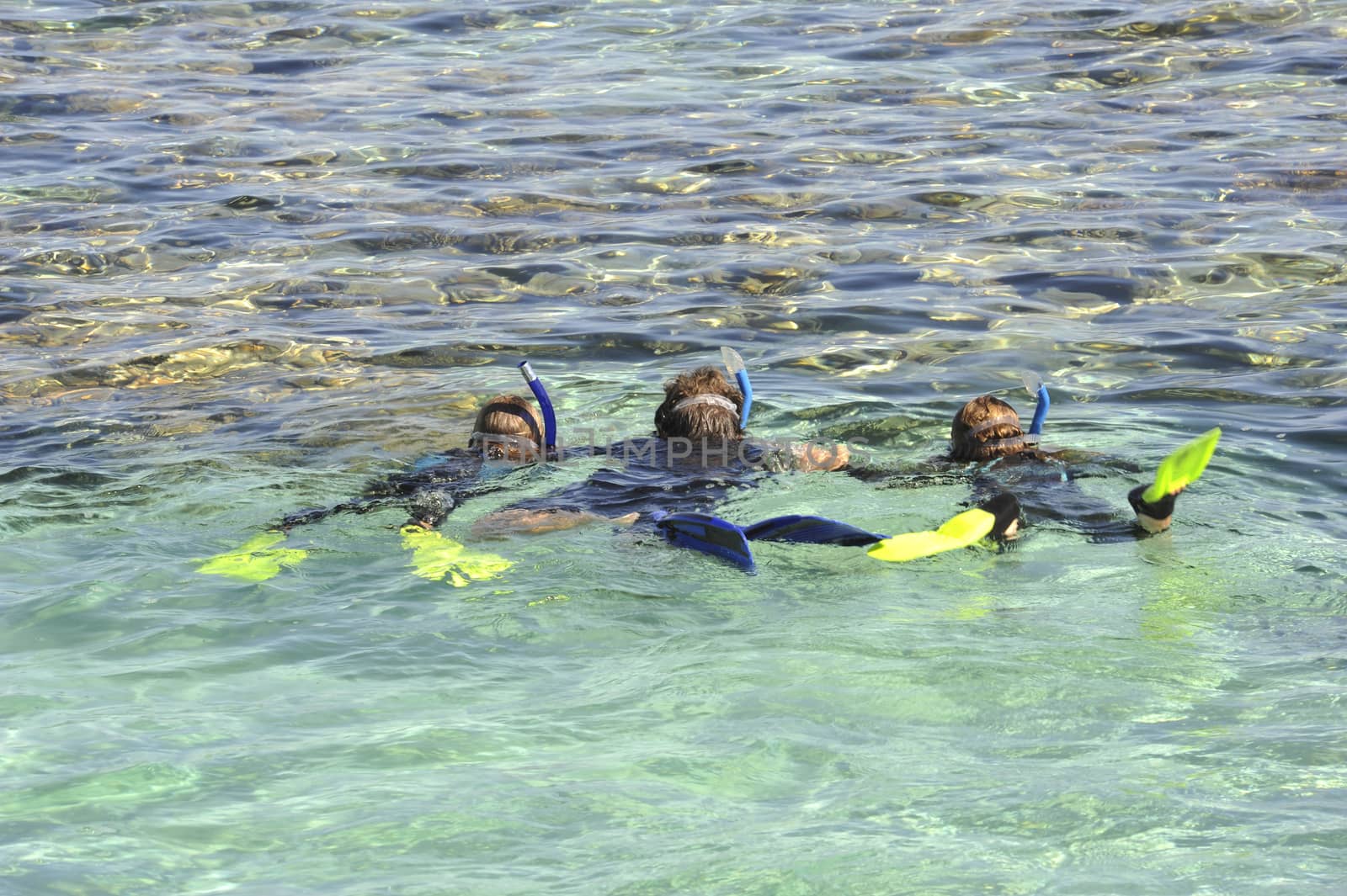 Father and two children snorkeling in a tropical lagoon