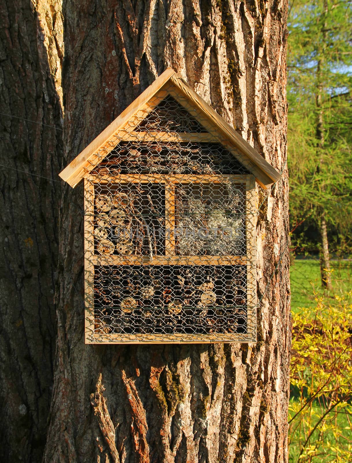 Insect hotel front view by anterovium