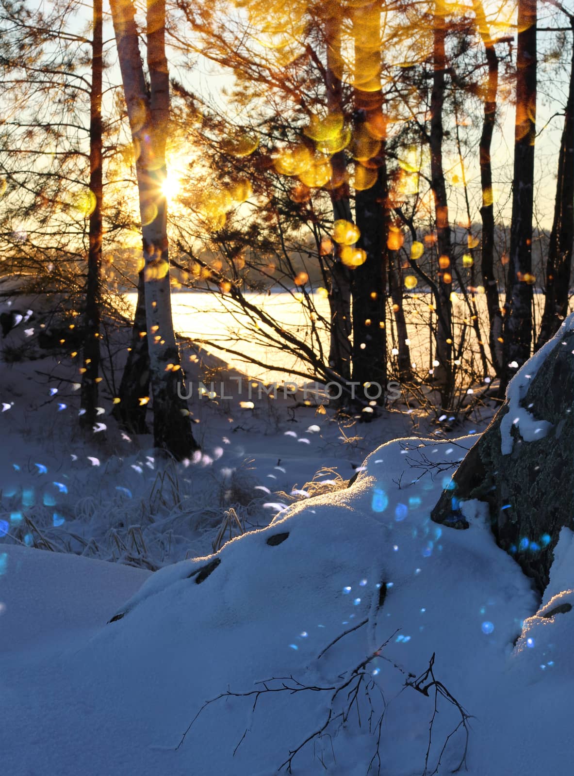 Winter sunset snowfall glitter lakeshore by anterovium