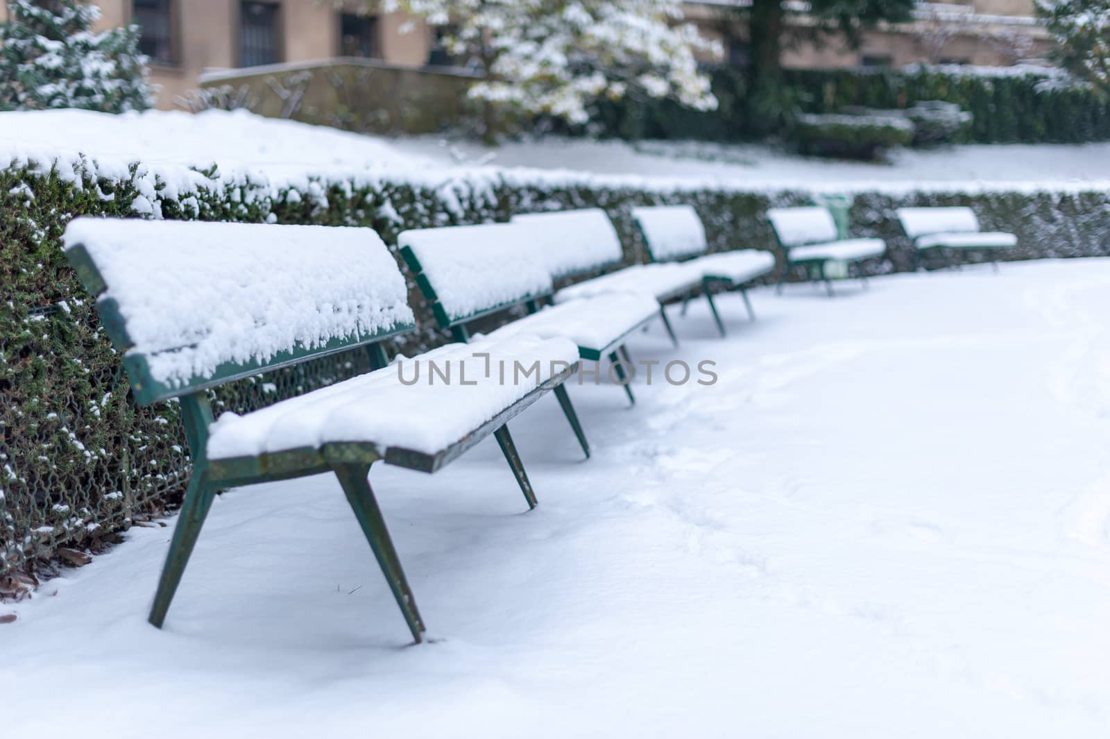 Benches under the snow in Trocadero gardens in winter in Paris, France