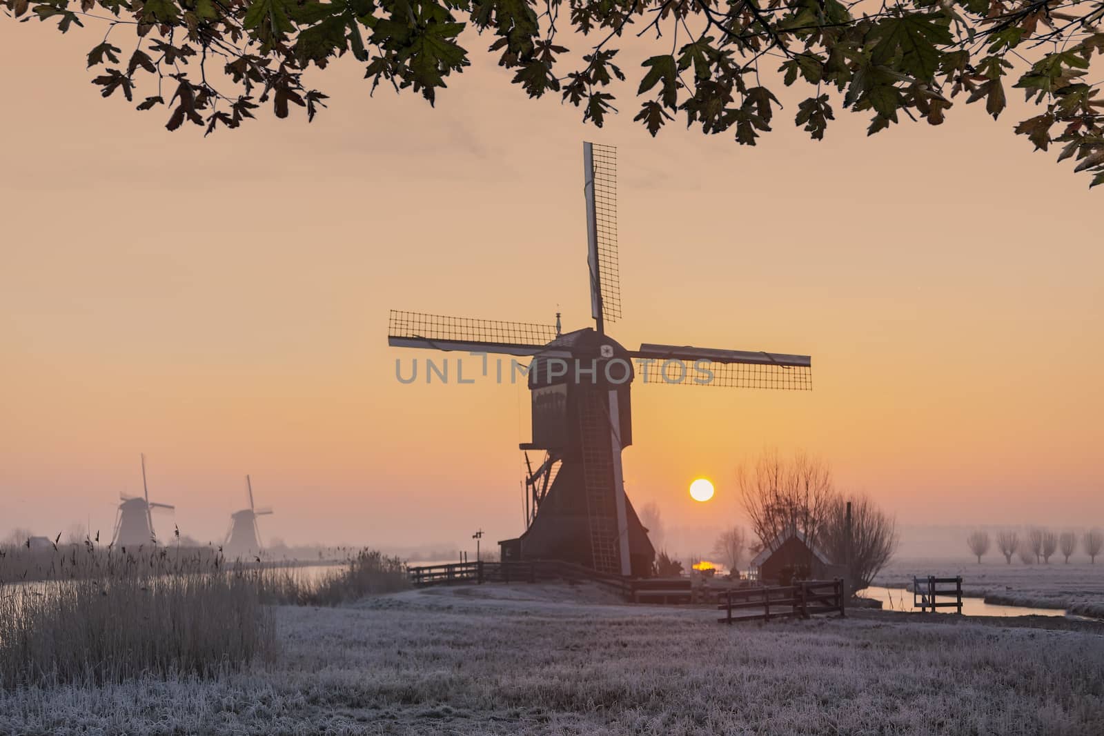 Windmill silhouette at the early morning sunrise in Netherlands by ankorlight