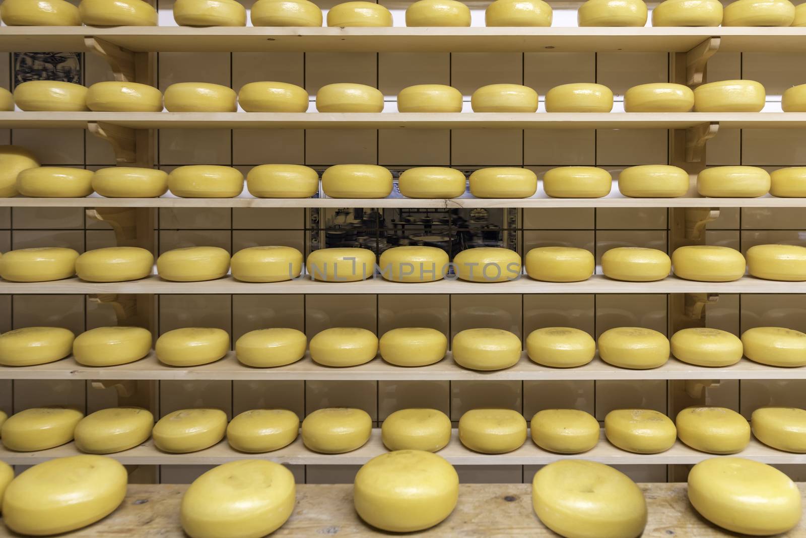 Block of Dutch cheese displayed on the tray in the cheese shop at Zaanse Schans, Netherlands