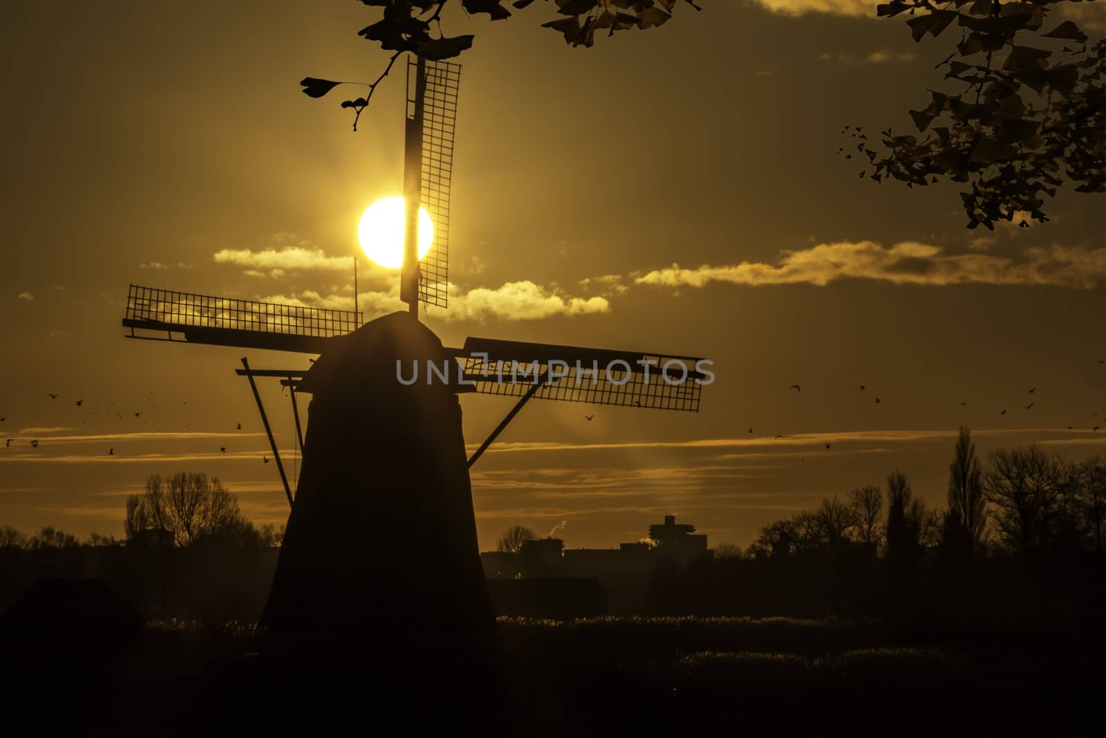 Warm and vibrant sunrise over the Unesco world heritage windmill in Leidschendam, Kinderdijk, Netherlands  by ankorlight