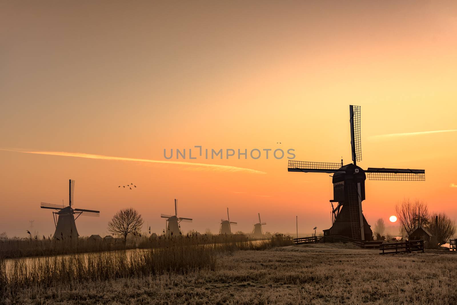 Typical Dutch rural landscape with windmill silhouettes at the early morning sunrise in Netherlands by ankorlight