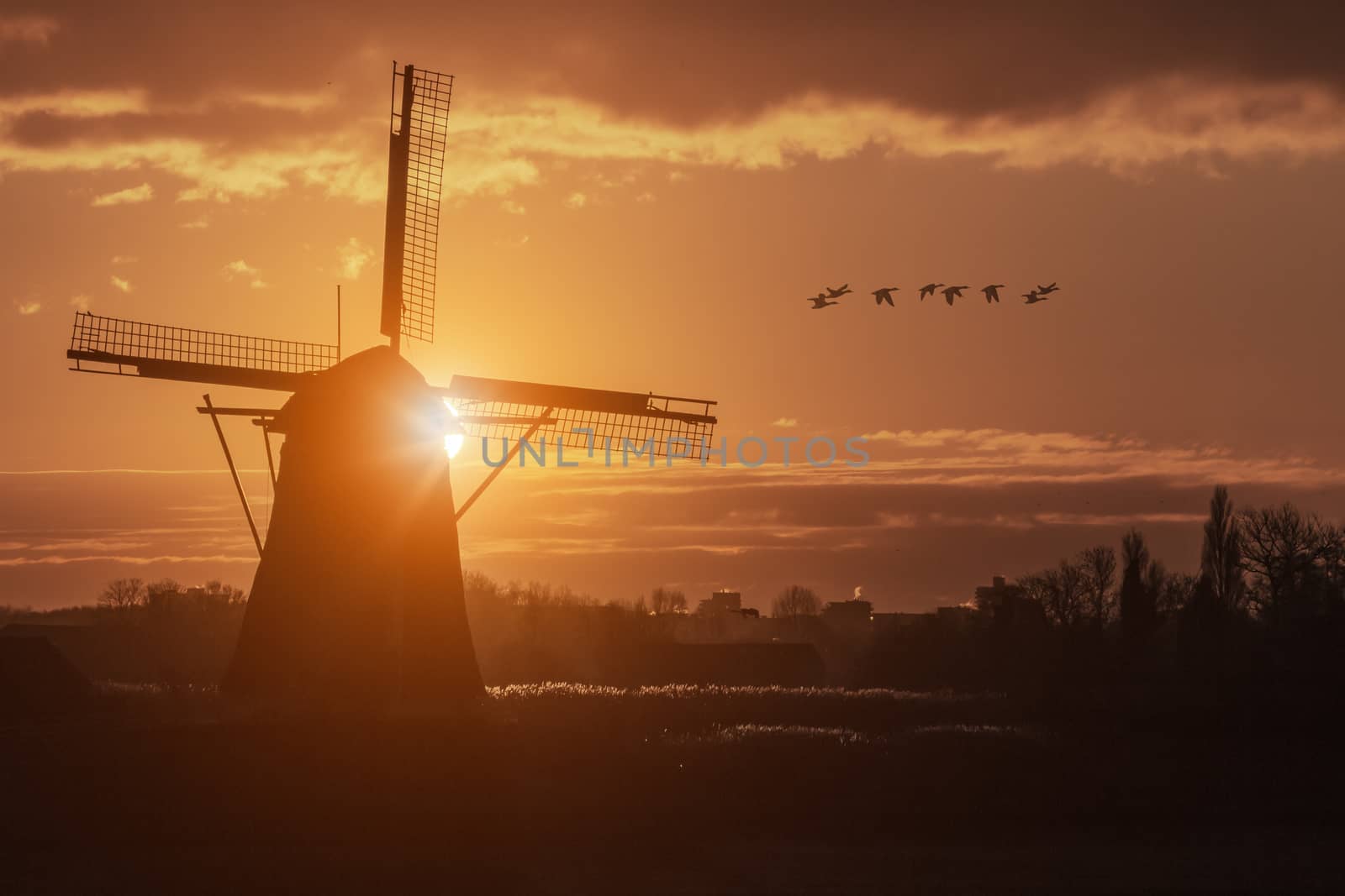 Warm and vibrant sunrise over the Unesco world heritage windmill in Leidschendam, Kinderdijk, Netherlands 