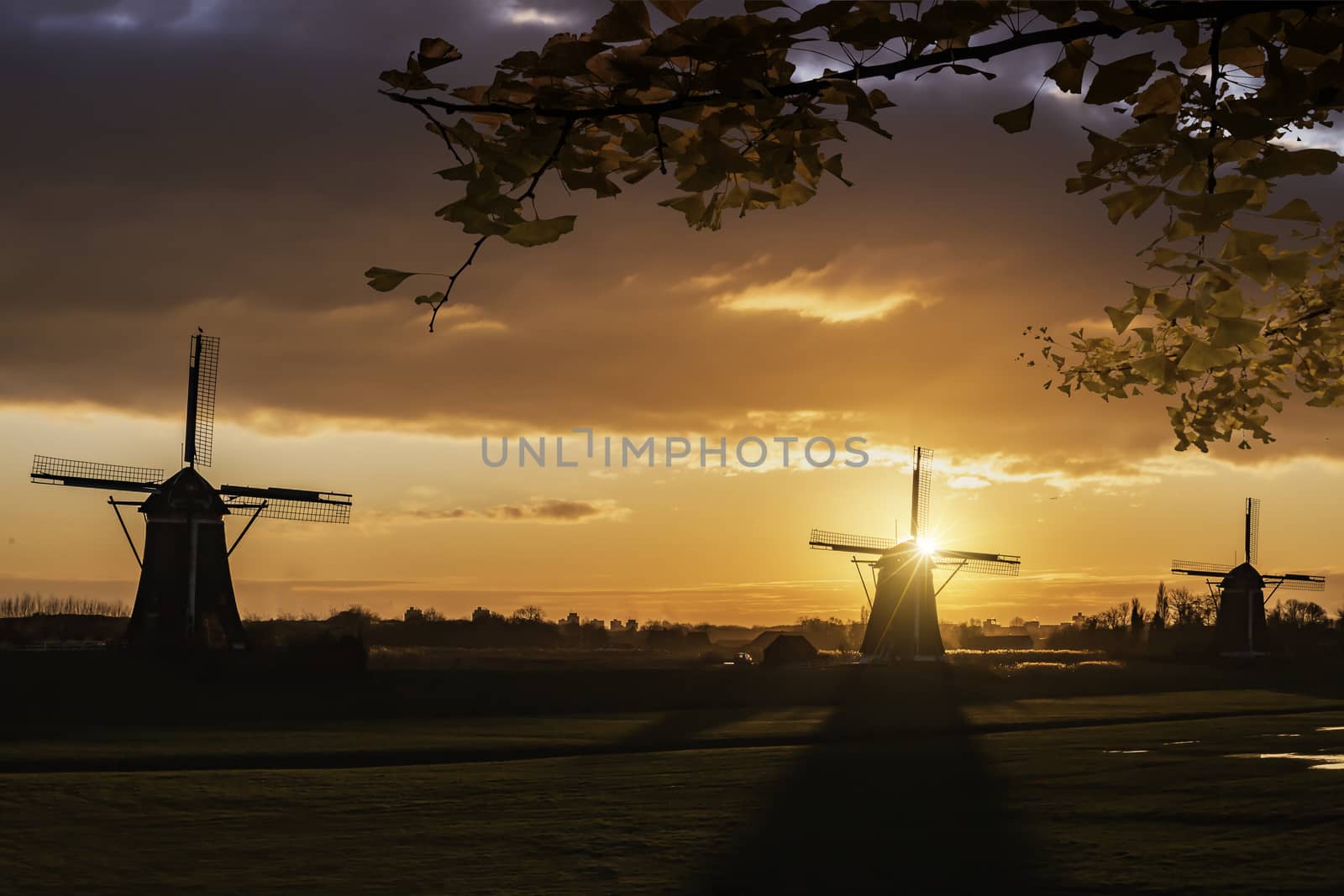 Warm and vibrant sunrise over the Unesco world heritage windmill in Leidschendam, Kinderdijk, Netherlands 