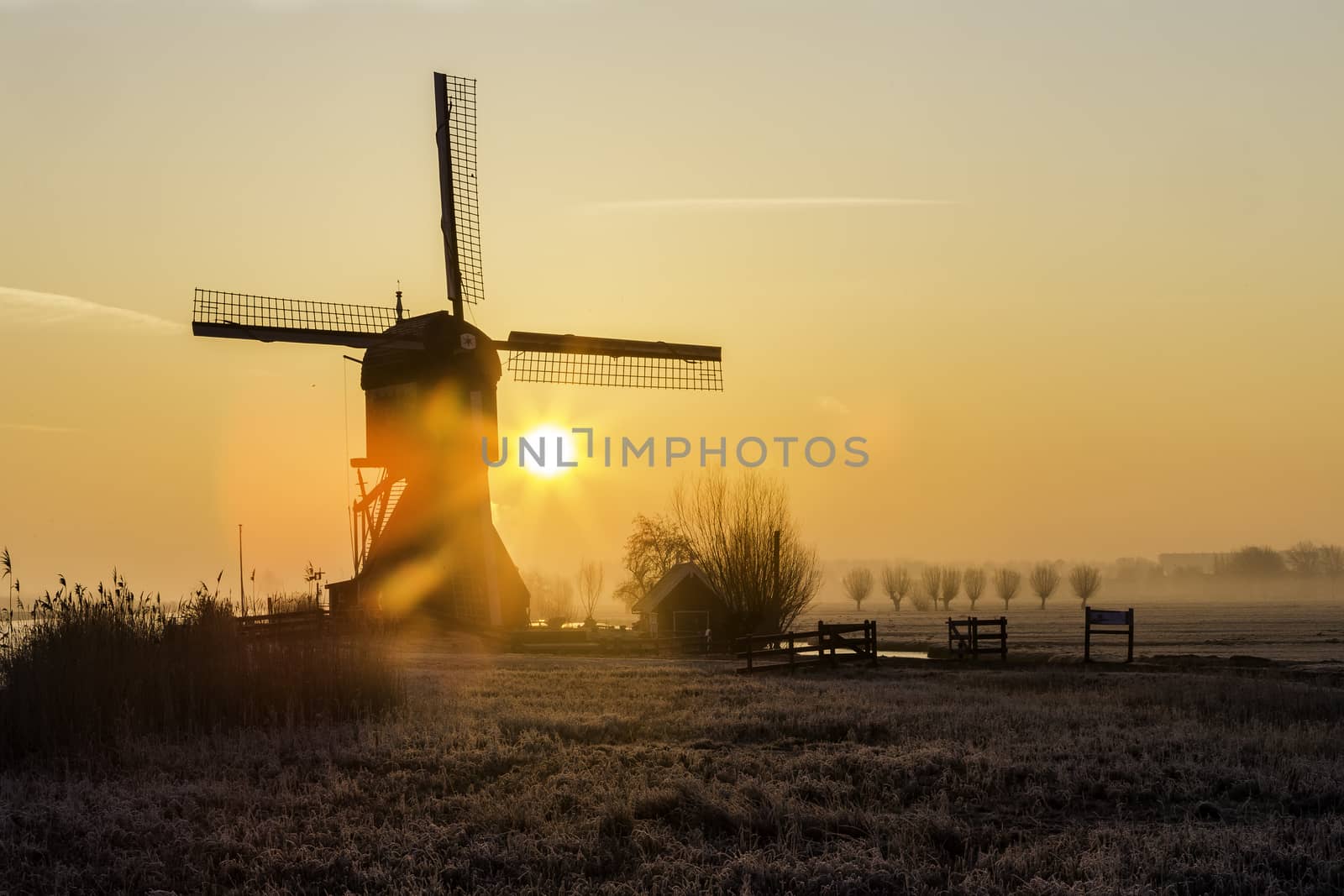 Typical Dutch rural landscape with windmill silhouettes at the early morning sunrise in Netherlands by ankorlight