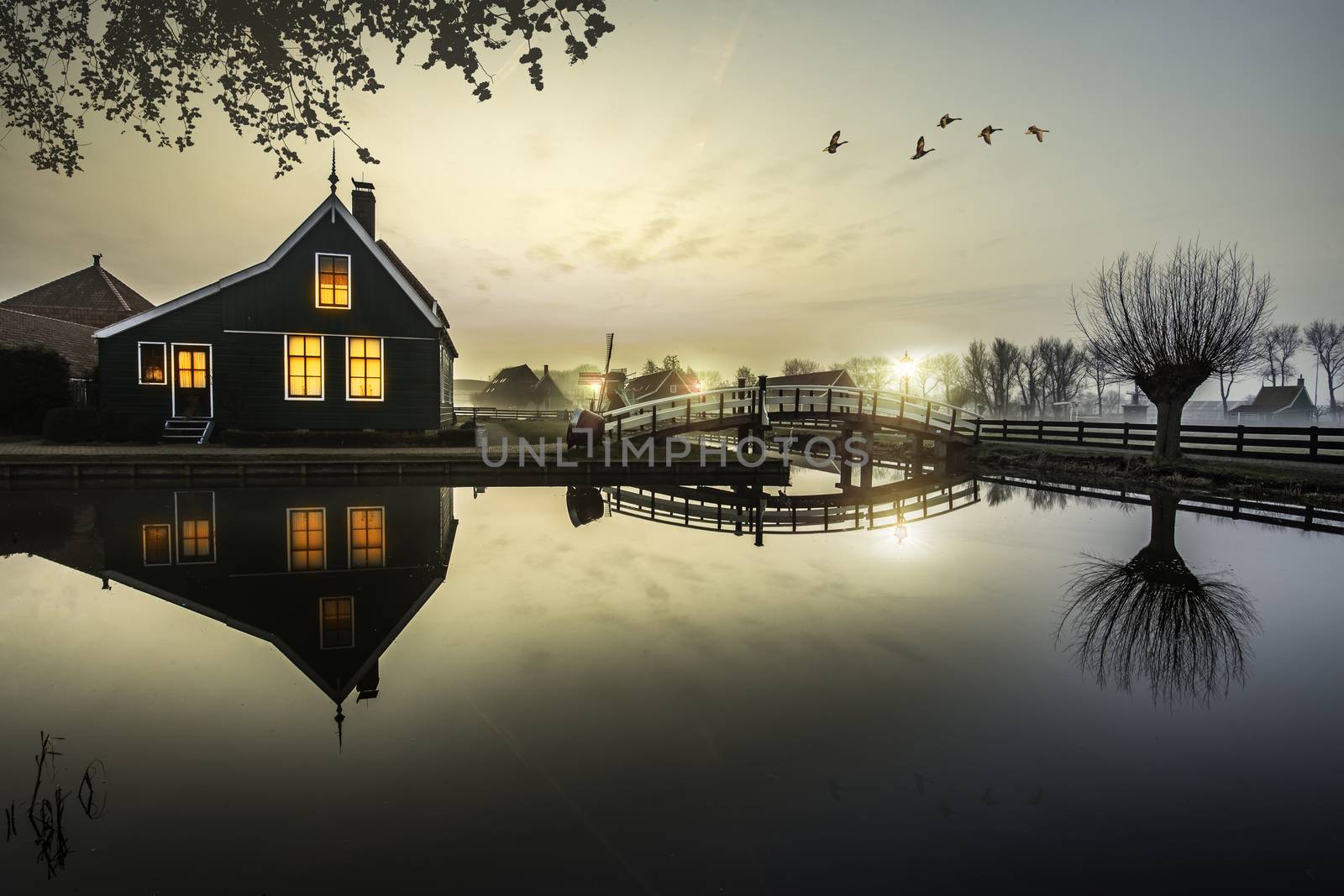 Ducks flying over a beautiful typical Dutch wooden houses architecture at the sunrise moment mirrored on the calm canal of Zaanse Schans located in the North of Amsterdam, Netherlands