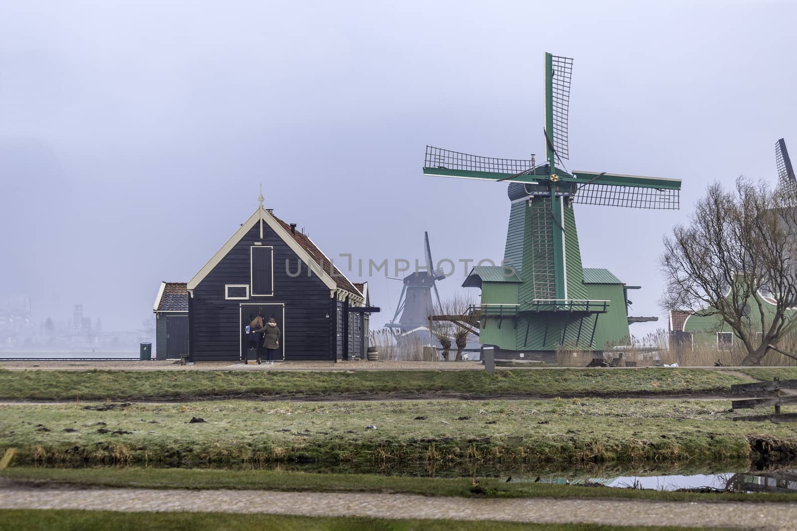 Iconic view of Dutch green sawmill and house standing on the edge of the calm canals at the Zaanse Schans early morning, Netherlands