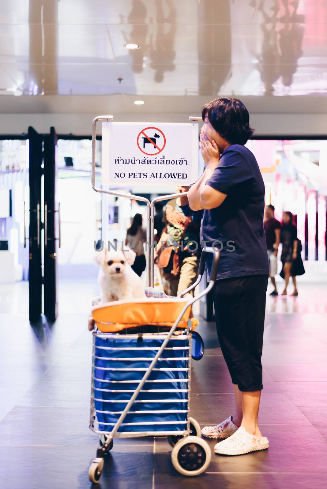 Bangkok, Thailand - July 1, 2017 : Unidentified asian woman feeling shocked when her and her pet (The dog) on shopping cart found warning sign No Pets Allowed at entrance door for exhibit hall or expo