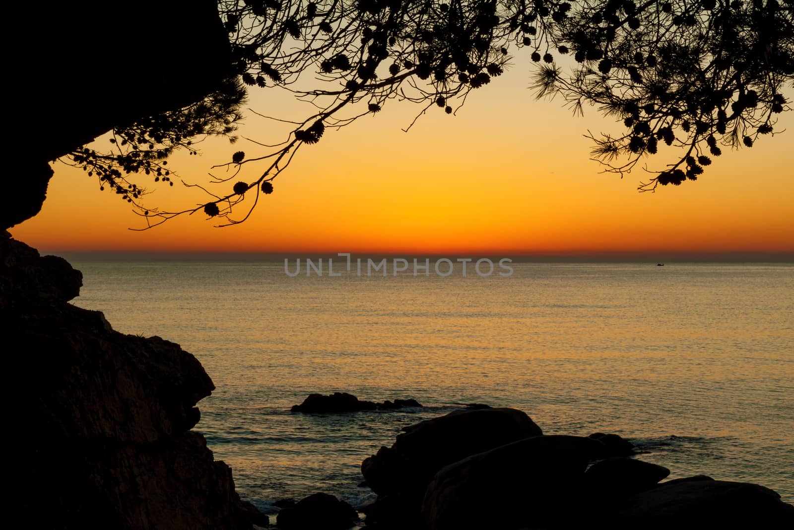 Beautiful beach at sunrise with trees