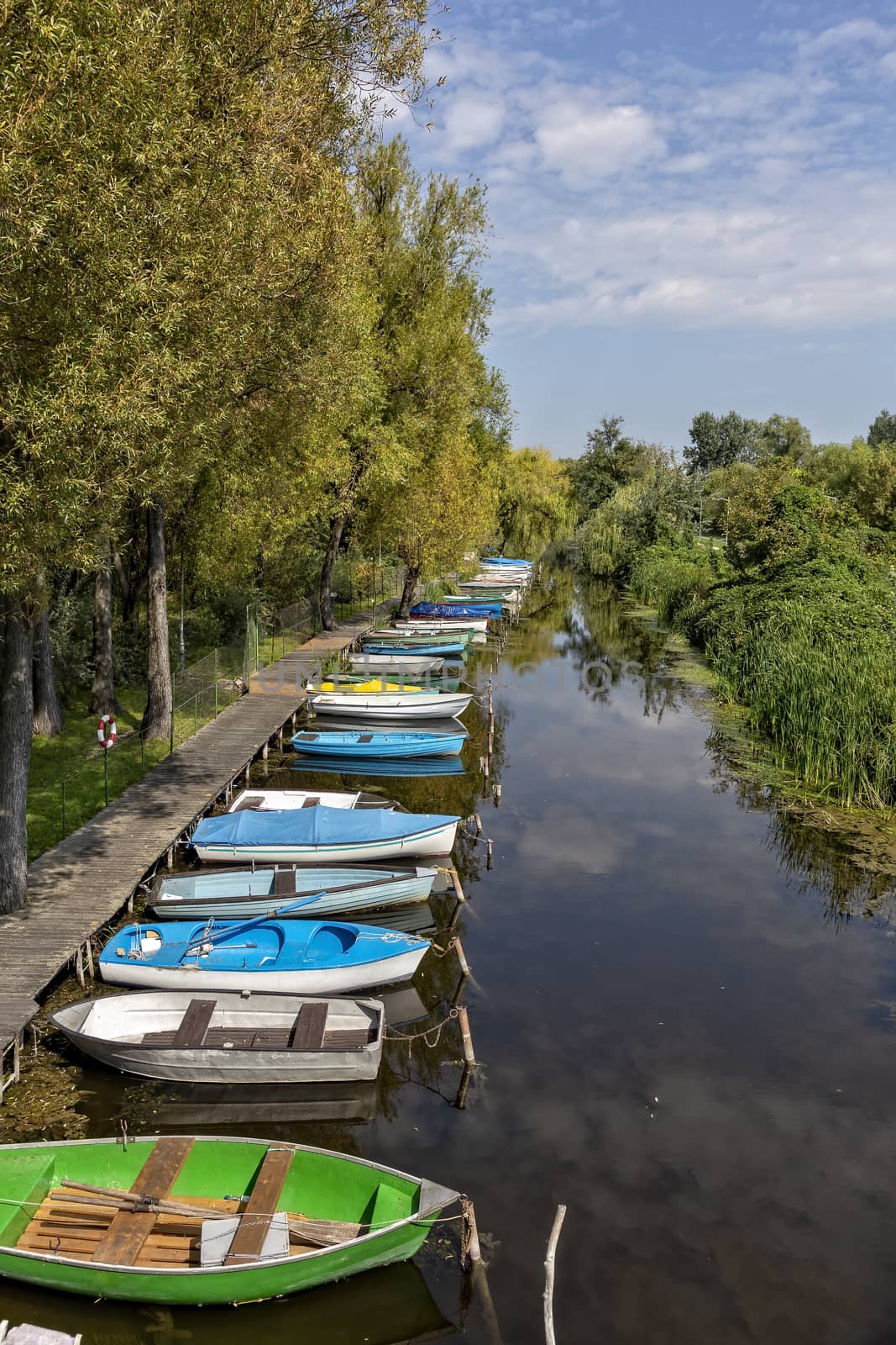 Still life near the lake Balaton of Hungary