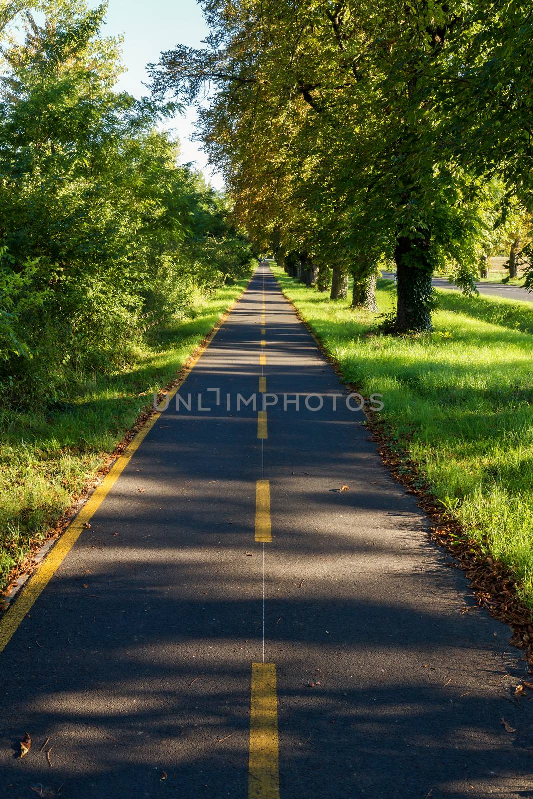 Bike path in a sunny day from Hungary