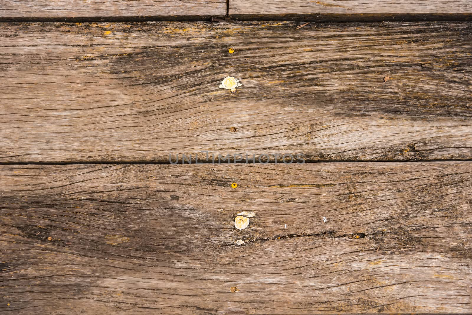 The old wood texture with natural patterns background with rusty by Bubbers