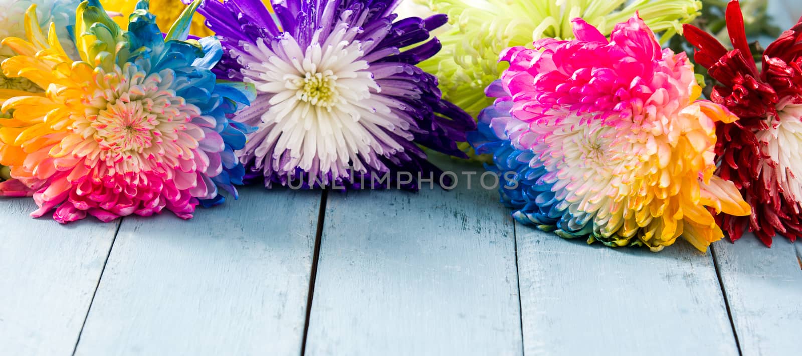Different colorful flowers on blue wooden table