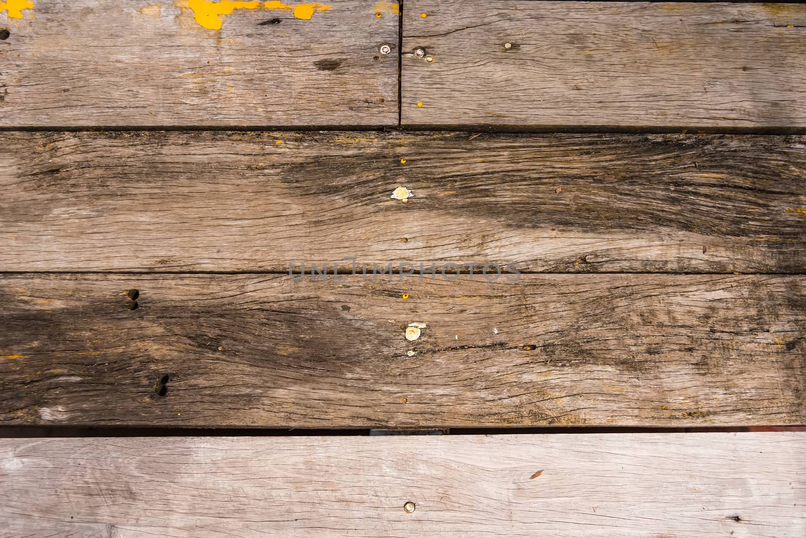 The old wood texture with natural patterns background with rusty by Bubbers