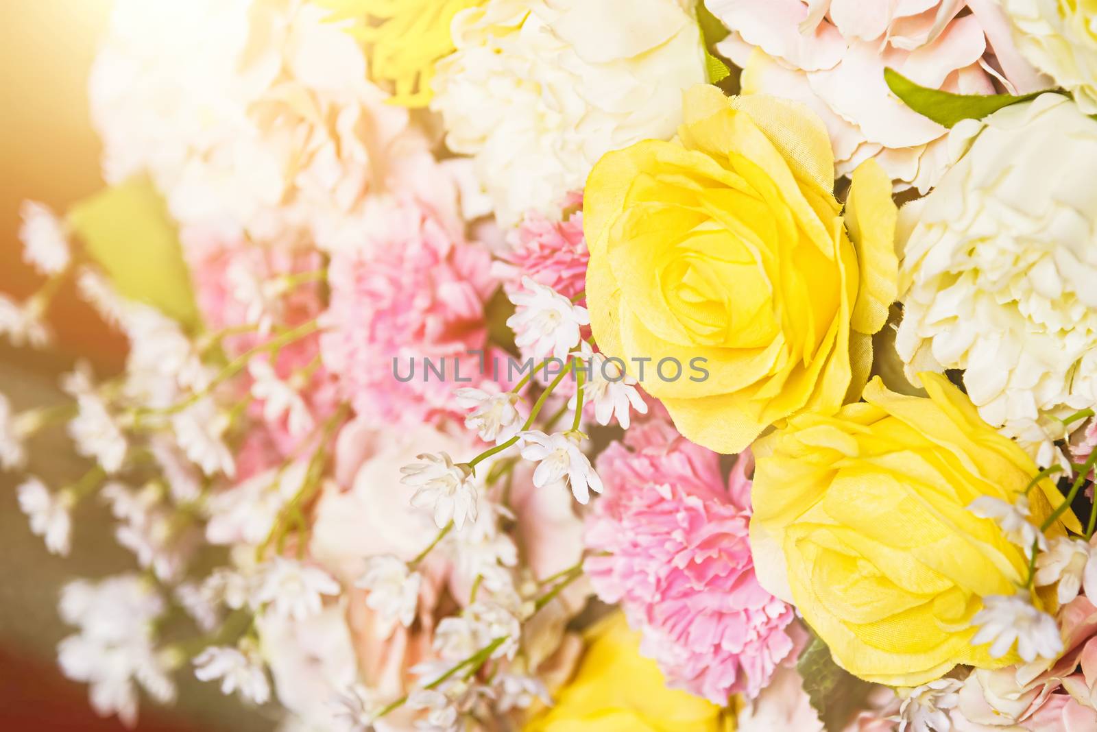 Petals flower rose white and pink bouquet retro postcard mood spring and summer background