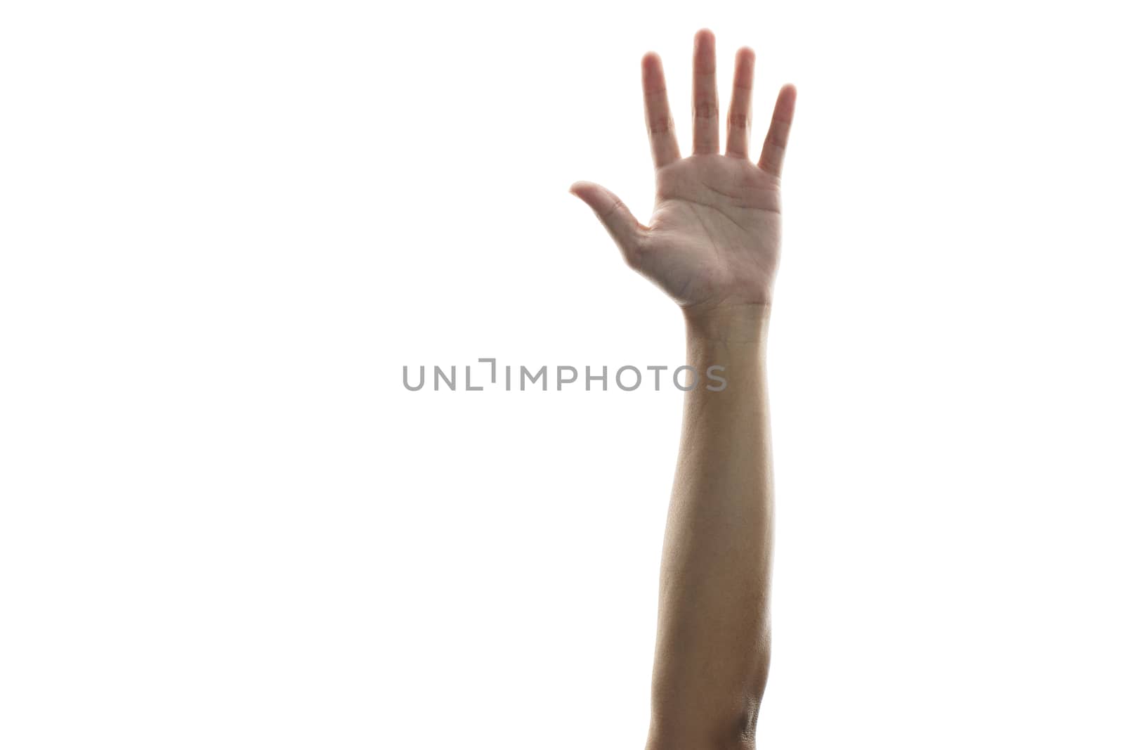 Hands raised in the air mean support, surrender or voting isolated on white background.