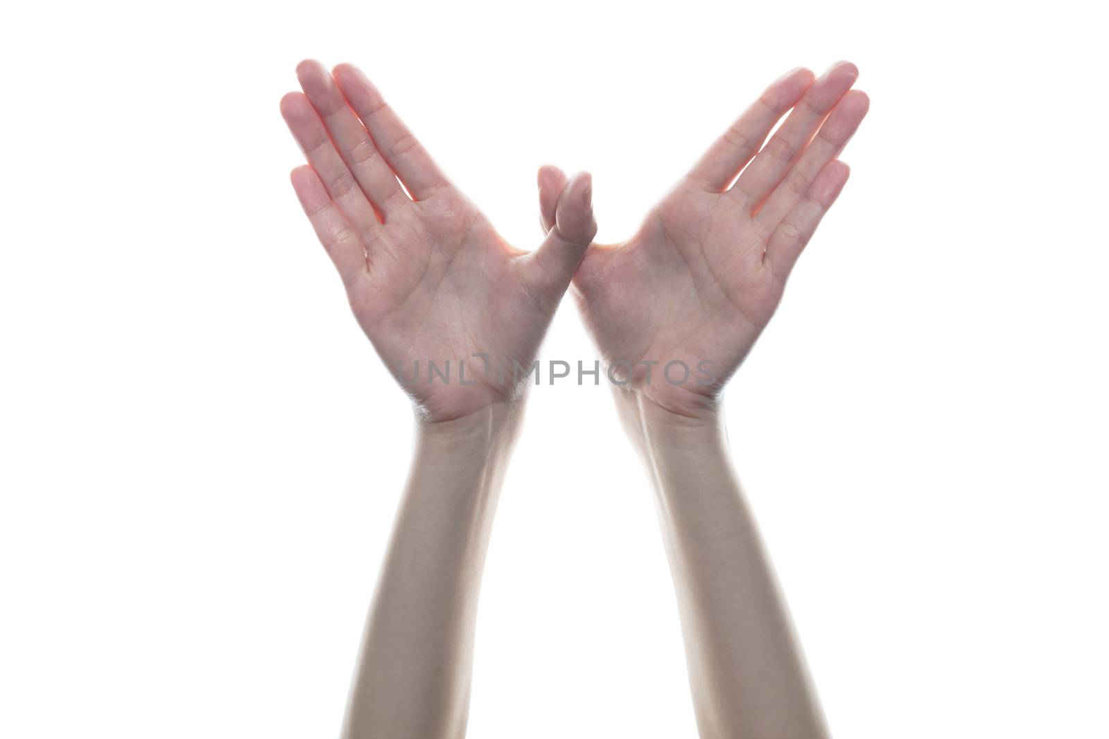 Woman hand shaped bird fly on white isolated background.